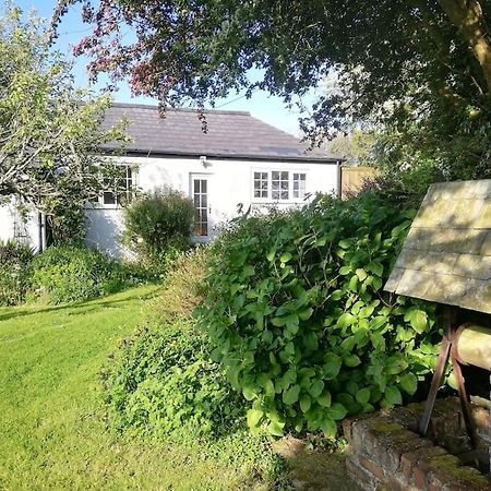 Cozy Country Cottage With Beautiful Rural Views New Quay Dış mekan fotoğraf