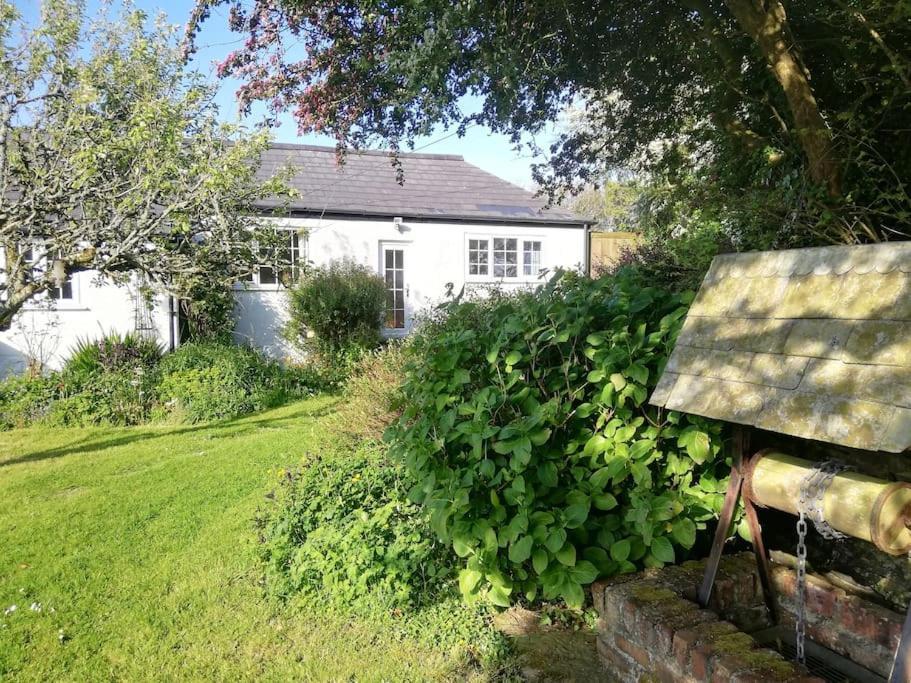 Cozy Country Cottage With Beautiful Rural Views New Quay Dış mekan fotoğraf