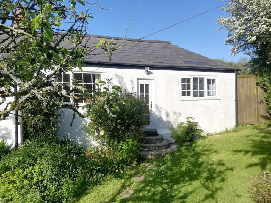 Cozy Country Cottage With Beautiful Rural Views New Quay Dış mekan fotoğraf